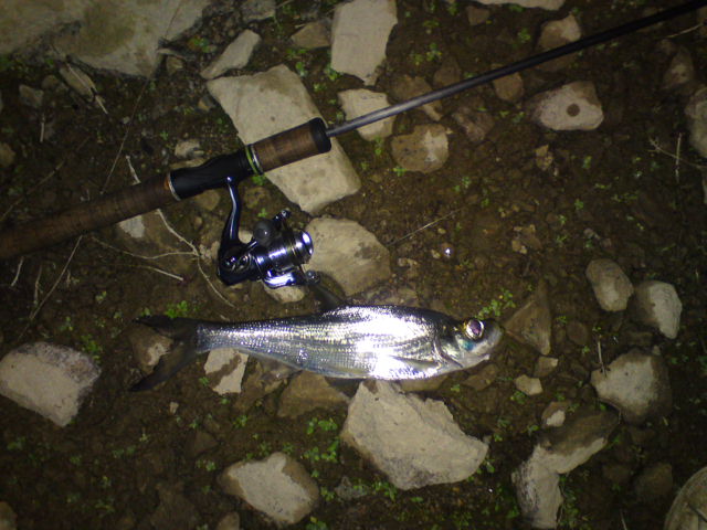 DSC03671.JPG