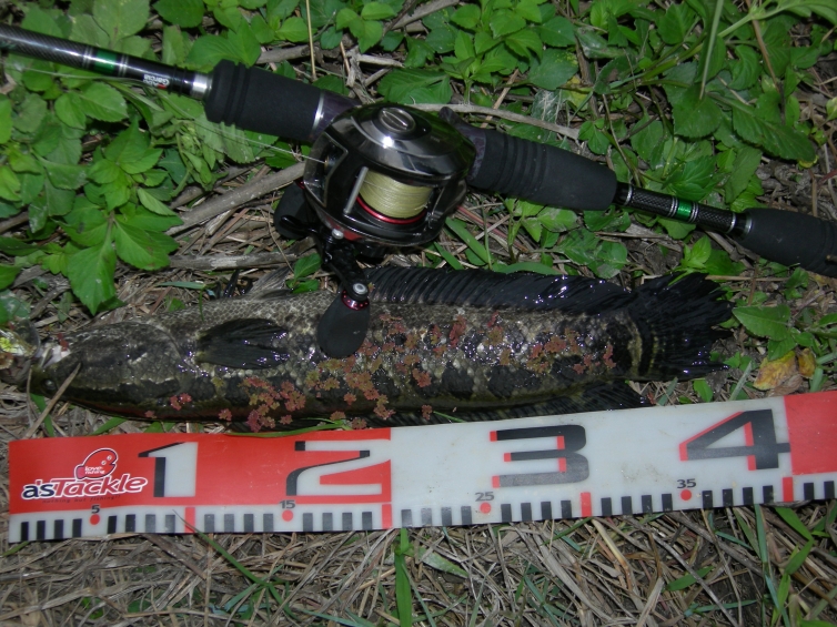 DSCN5482.JPG