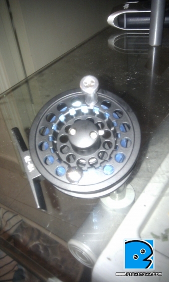 IMAG0005.jpg