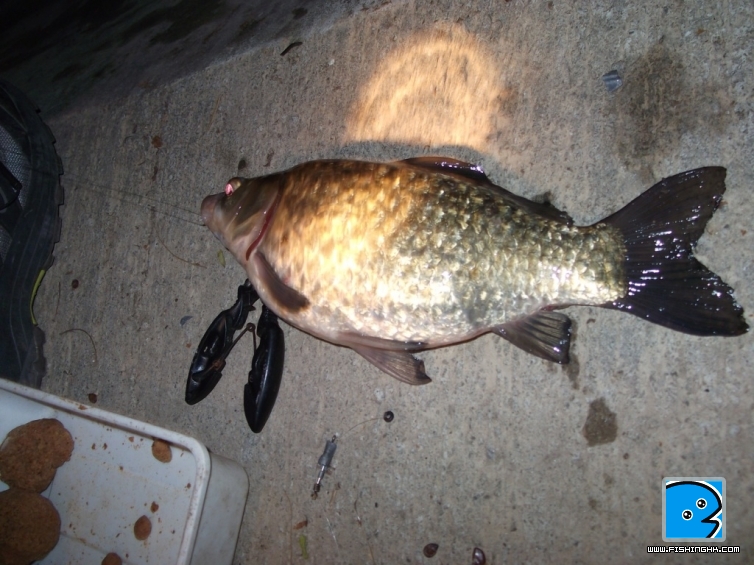 DSCF3183.jpg