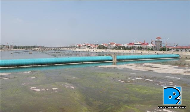 Air Dam.JPG