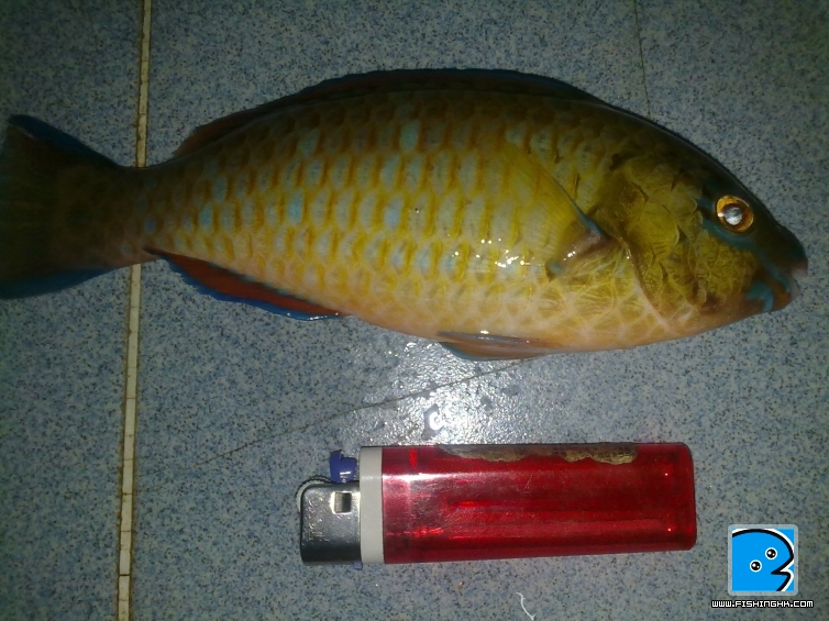 02092010706.jpg