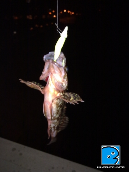 20110327312.jpg