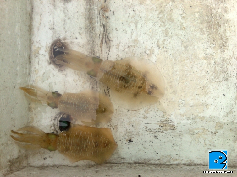 photo.jpg