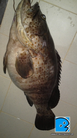 12042010099.JPG