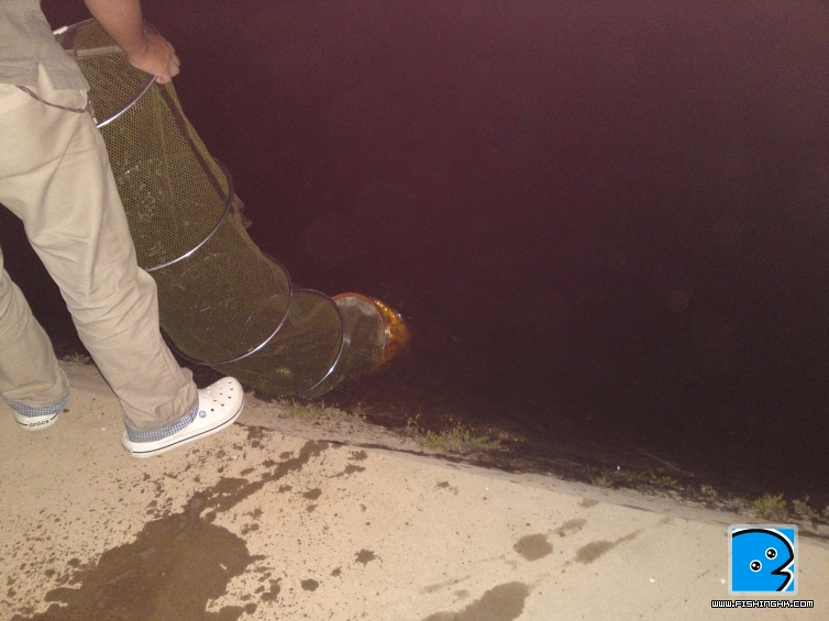 20110403578.JPG