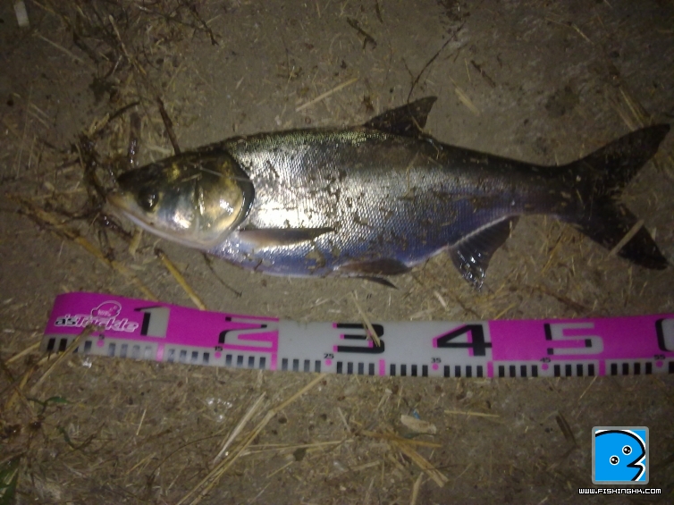 20110405013.jpg