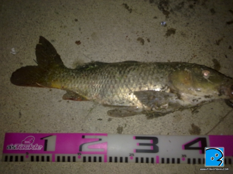 20110404010.jpg