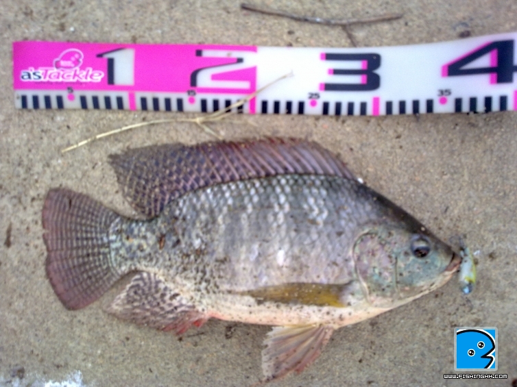 20110404008.jpg
