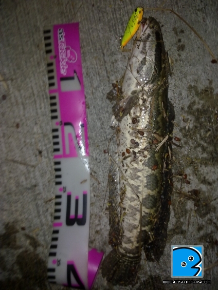 20110404011.jpg