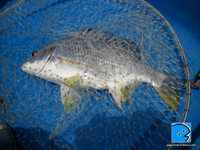 20110412_2c8c4e39fc88c005c8580egPVBUGQaAn.jpg