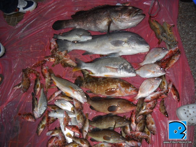 20110412_370b48863206e3abebd8CP9x4q0MQ1e2.jpg