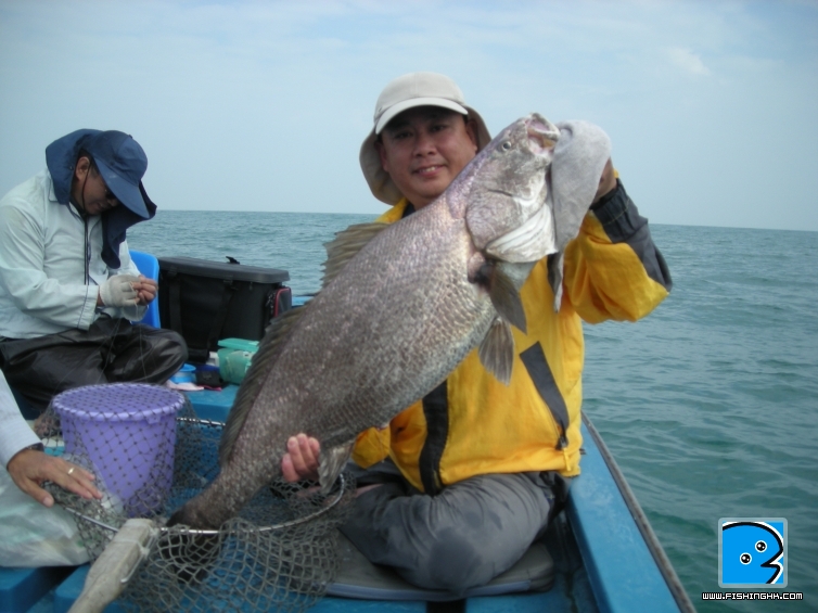 DSCN6431.JPG
