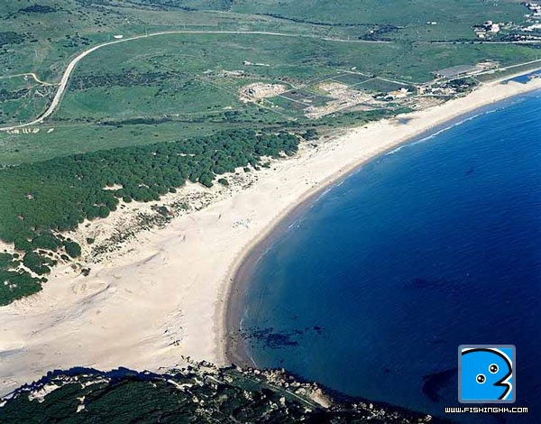 tarifa-playa20de20bolonia07[1].jpg