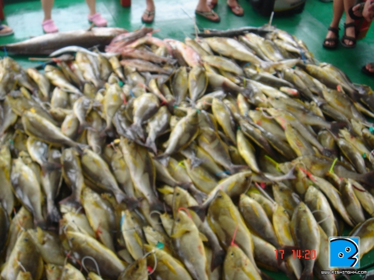 DSC03417.JPG