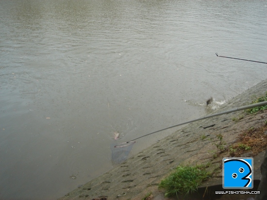 20110417_c287204e63b92aeba733y8yArXgvJsY5.jpg