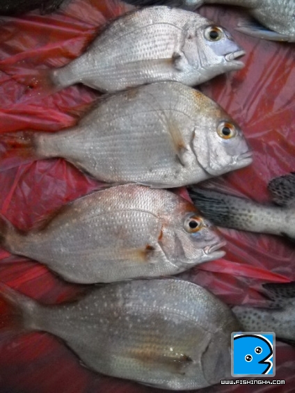 20110419_81a06603032f8168cb534ACfDi0kXVZy.jpg