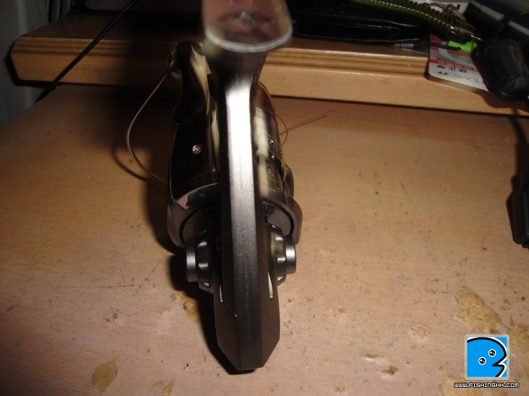 DSC01603.JPG