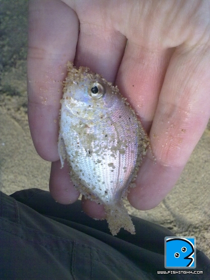 20110421935.jpg