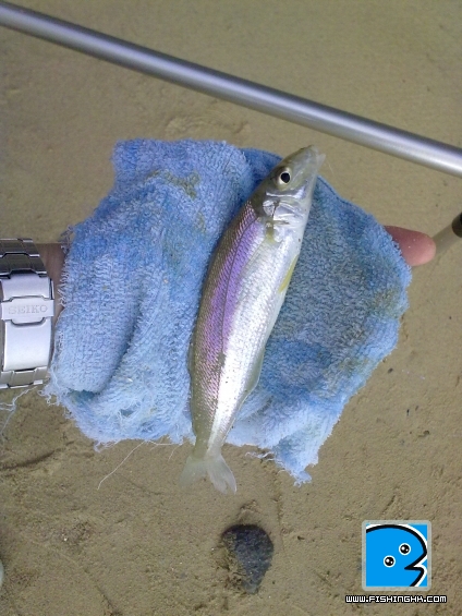 20110421934.jpg