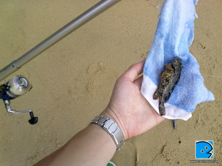 20110421931.jpg