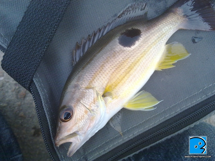 20110422035.jpg