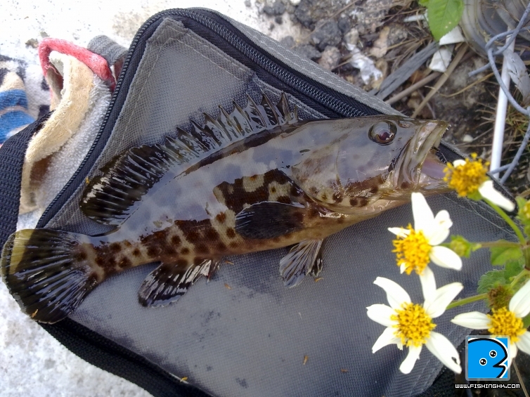 20110422038.jpg