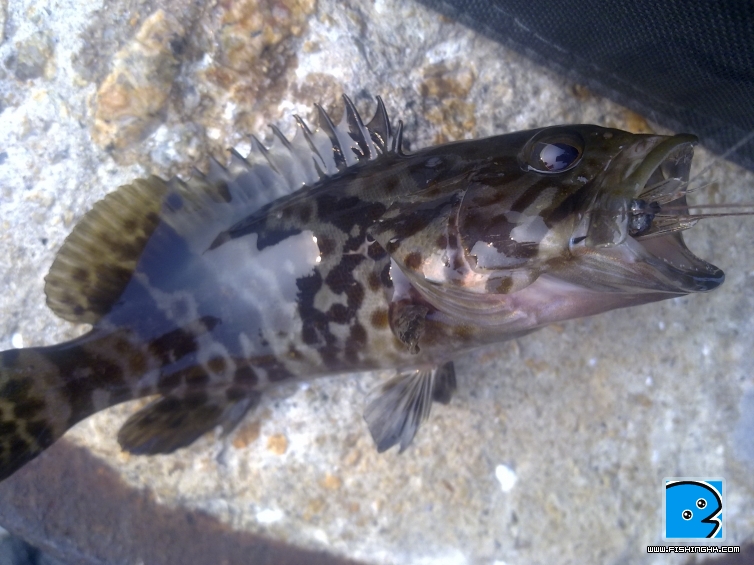20110422039.jpg