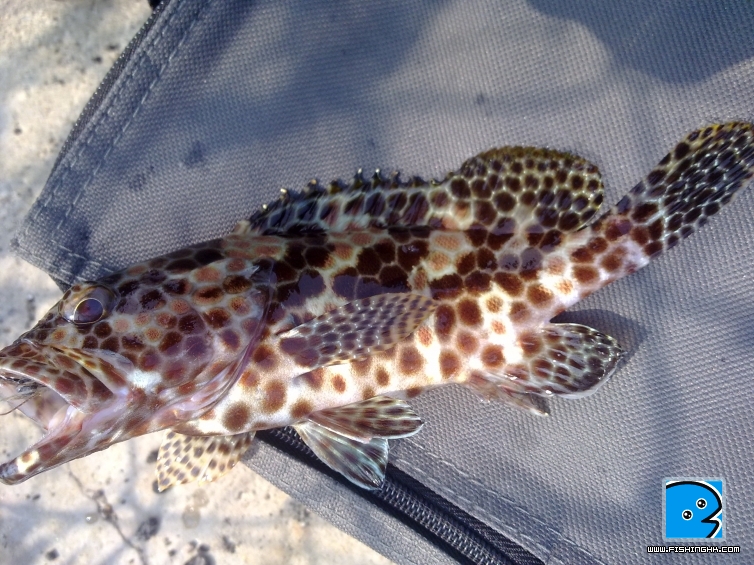 20110422036.jpg