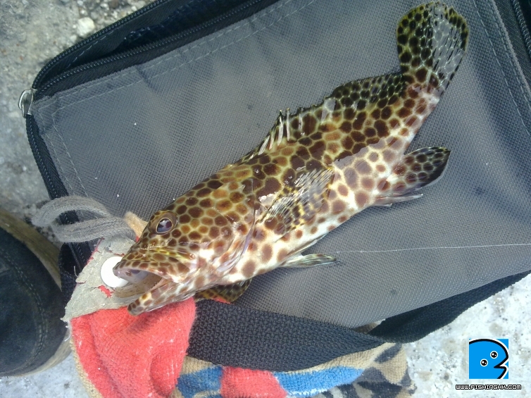 20110422037.jpg
