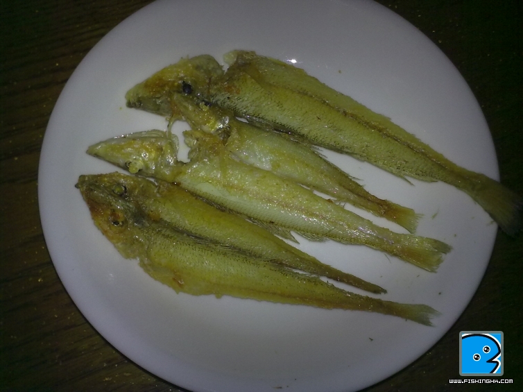 20110502956.jpg