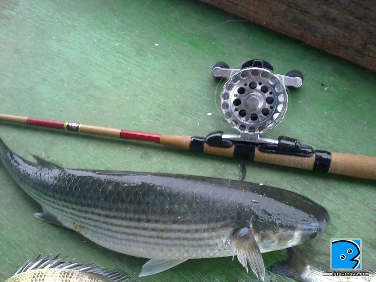 20110504086.jpg