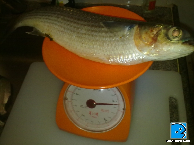 20110504087.jpg