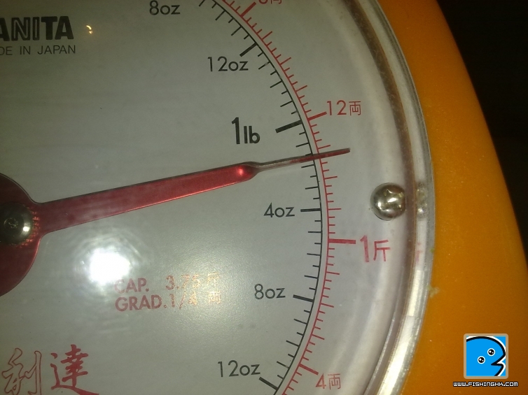20110504088.jpg