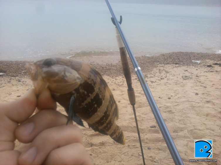 2011-05-05 09.48.28.jpg