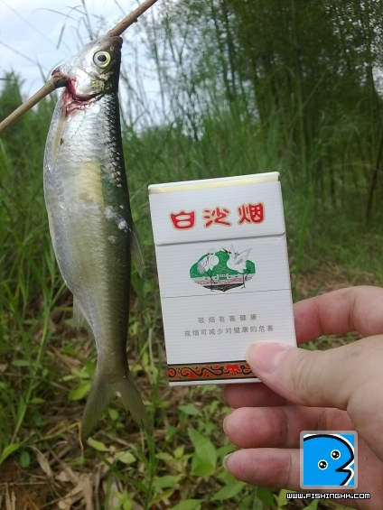 20110509599.jpg