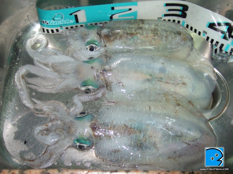 DSCF0878.JPG