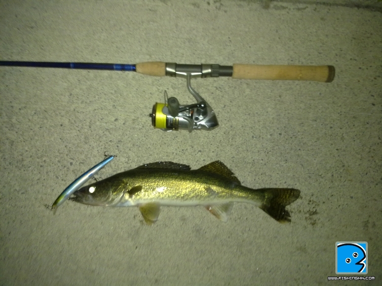 201105071119.jpg