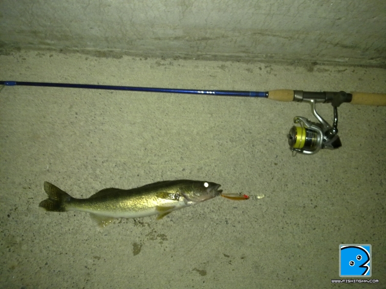 201105071118.jpg