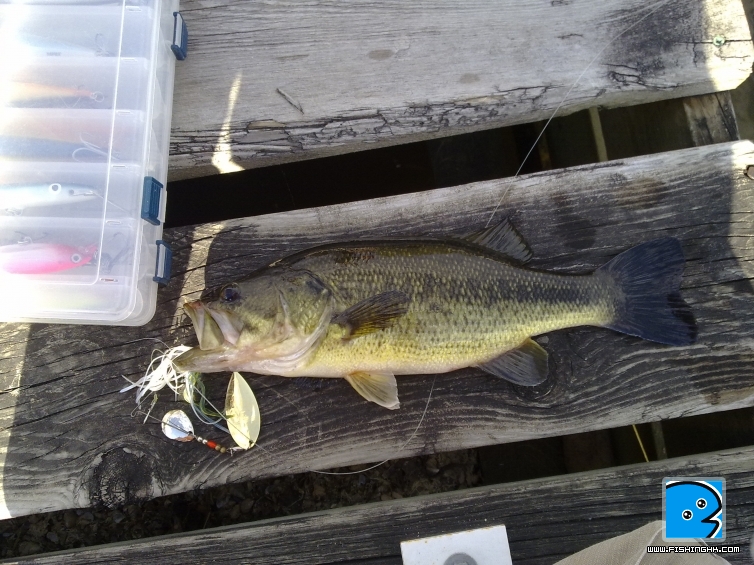 201105071125.jpg
