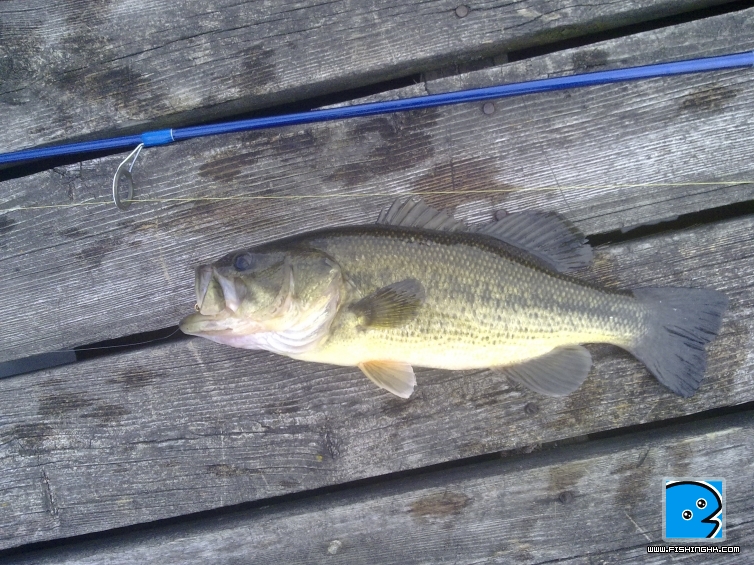 201105101144.jpg