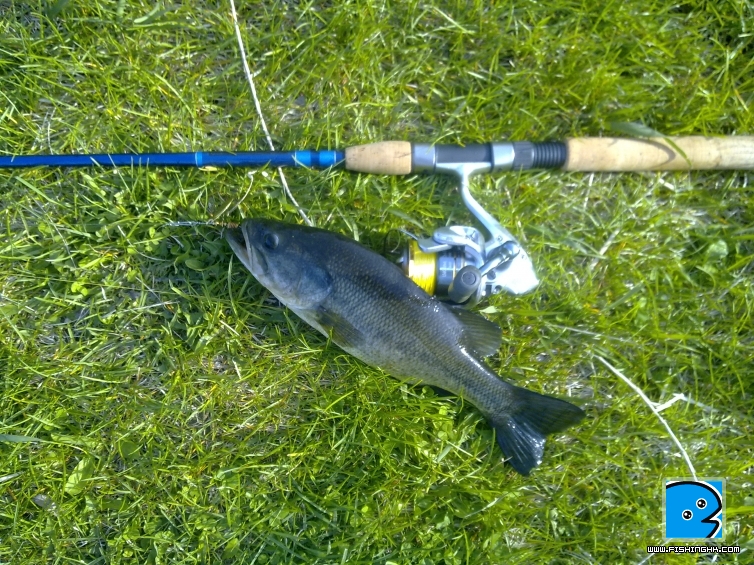 201105101147.jpg