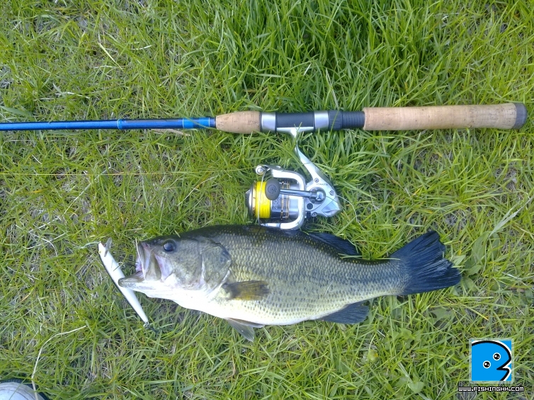 201105131156.jpg