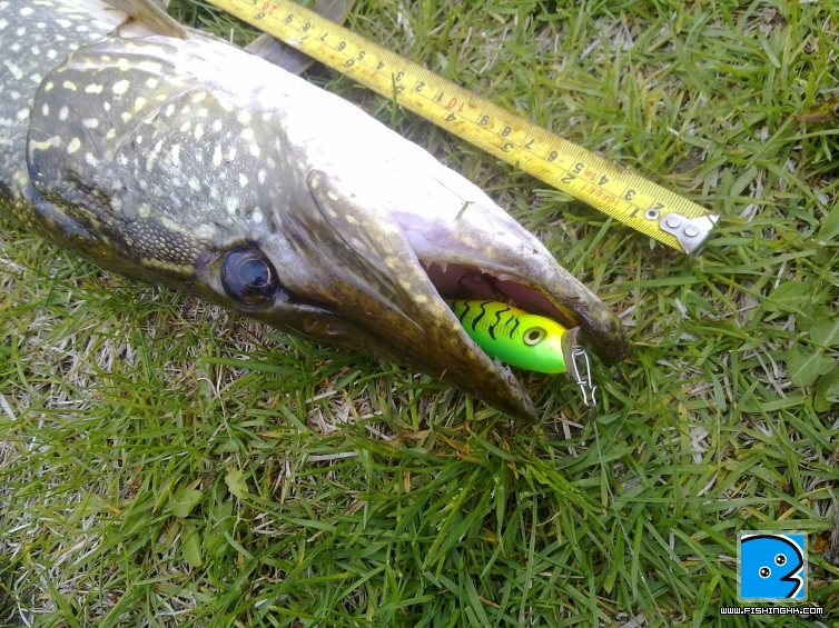 201105131162.jpg