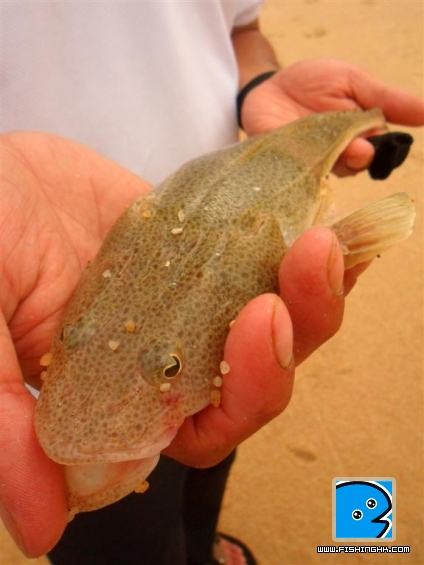 110515 大浪灘投 up (28).JPG