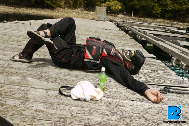 舒服到名人都要午睡了