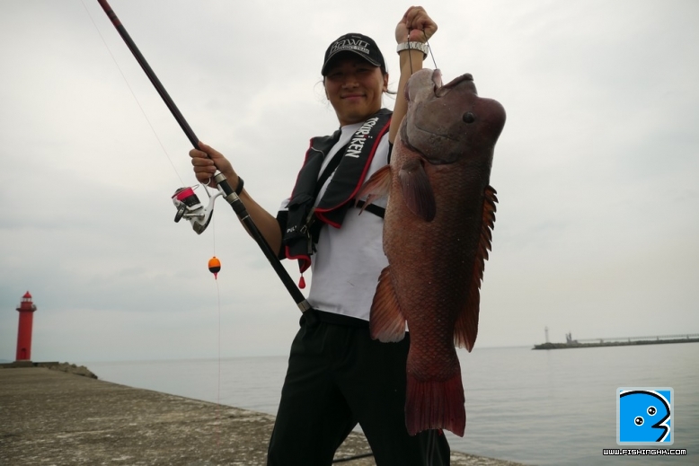 人魚合照