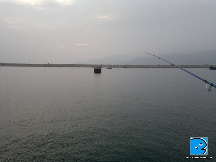 20110515319.jpg