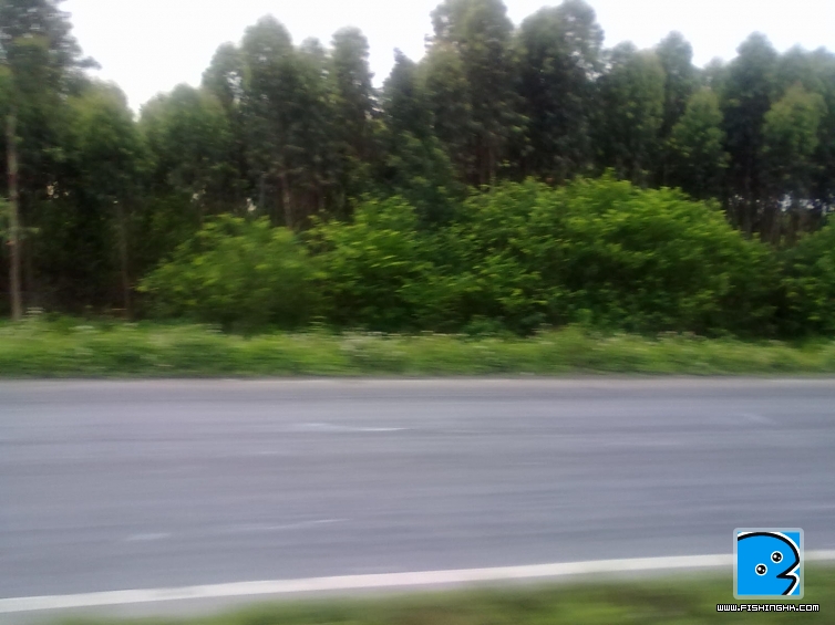 20110510080.jpg