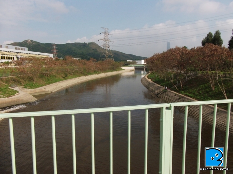 照片 001.jpg